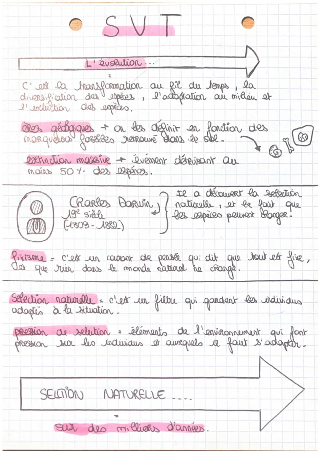 • SVT
L'evolution...
C'est la transformation au fil du temps, la
diversification des espèces, l'adaptation are milieu et
l'extrition des esp