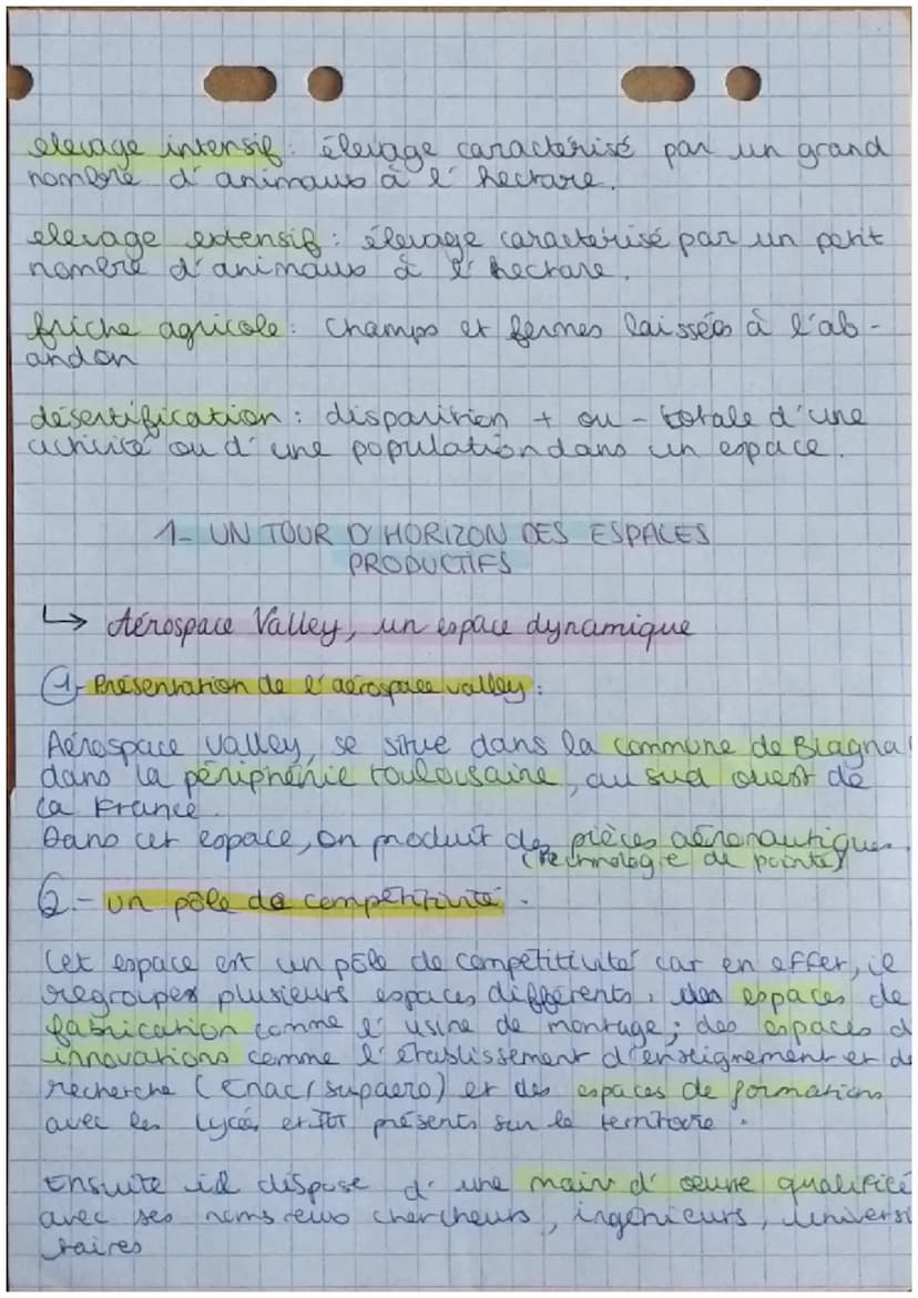GEOGRAPHIE
LES DYNAMIQUES TERRITORIALES DE
LA FRANCE CONTEMPORAINE
Les espaces productifs et leurs evolution
et mis en valeur pour une
↳ esp