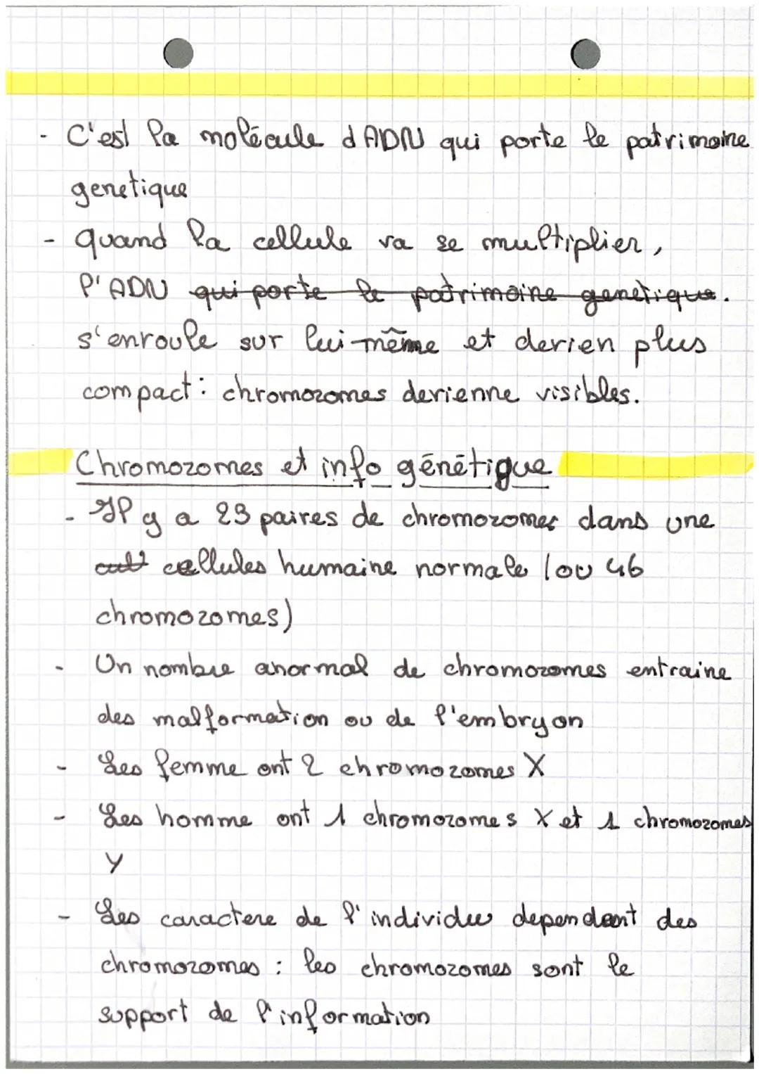 SYT

De quoi depende les caractere d'on individu?
- Certains caractère se retrouvent dans les
génération sucesive : ce sont les charactere
h