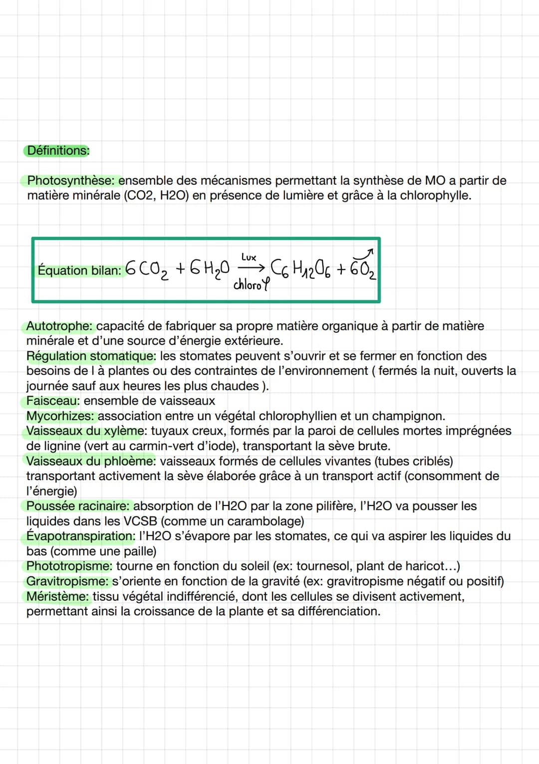Thème 2: Enjeux planétaires
CHAPA
I / Organisation fonctionnelle des angiospermes.
1. Plan de base.
Organisation fonctionnelle de la plante 
