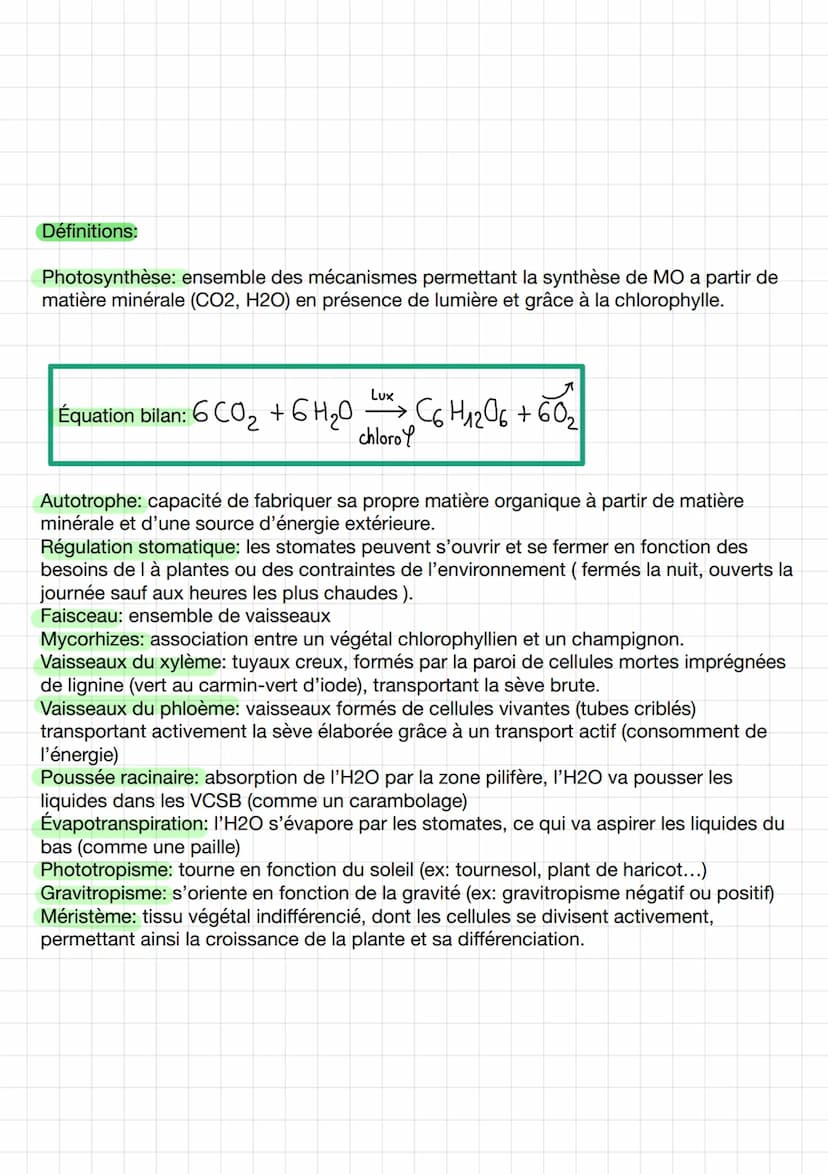 Thème 2: Enjeux planétaires
CHAPA
I / Organisation fonctionnelle des angiospermes.
1. Plan de base.
Organisation fonctionnelle de la plante 
