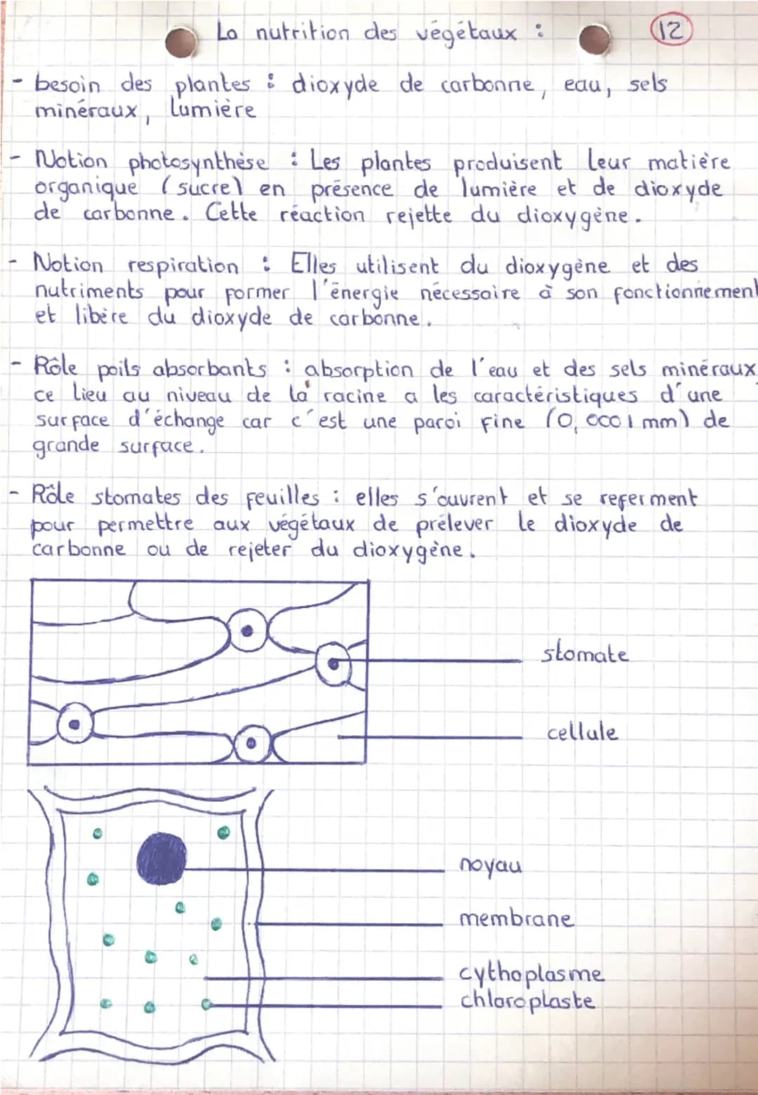 --- OCR Start ---
La nutrition des végétaux :
12
- besoin des plantes: dioxyde de carbonne, eau, sels
minéraux, lumière
- Notion photosynthè
