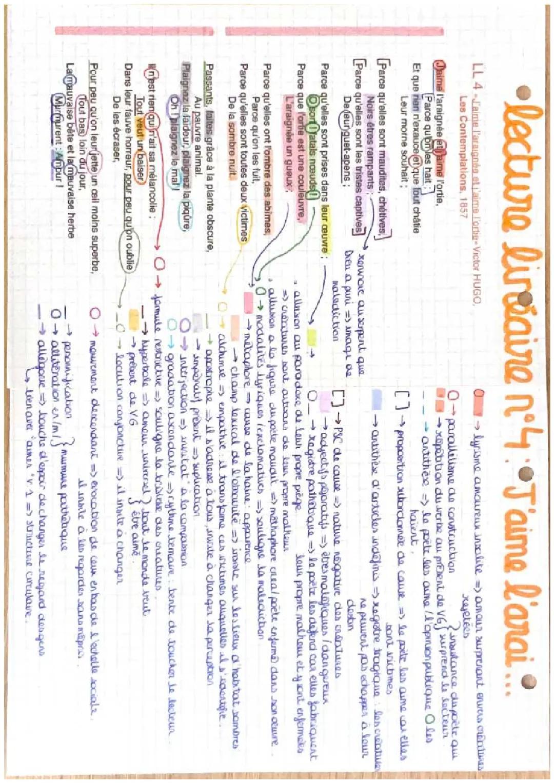 lecture linéaire « j’aime l’araignée et j’aime l’ortie »