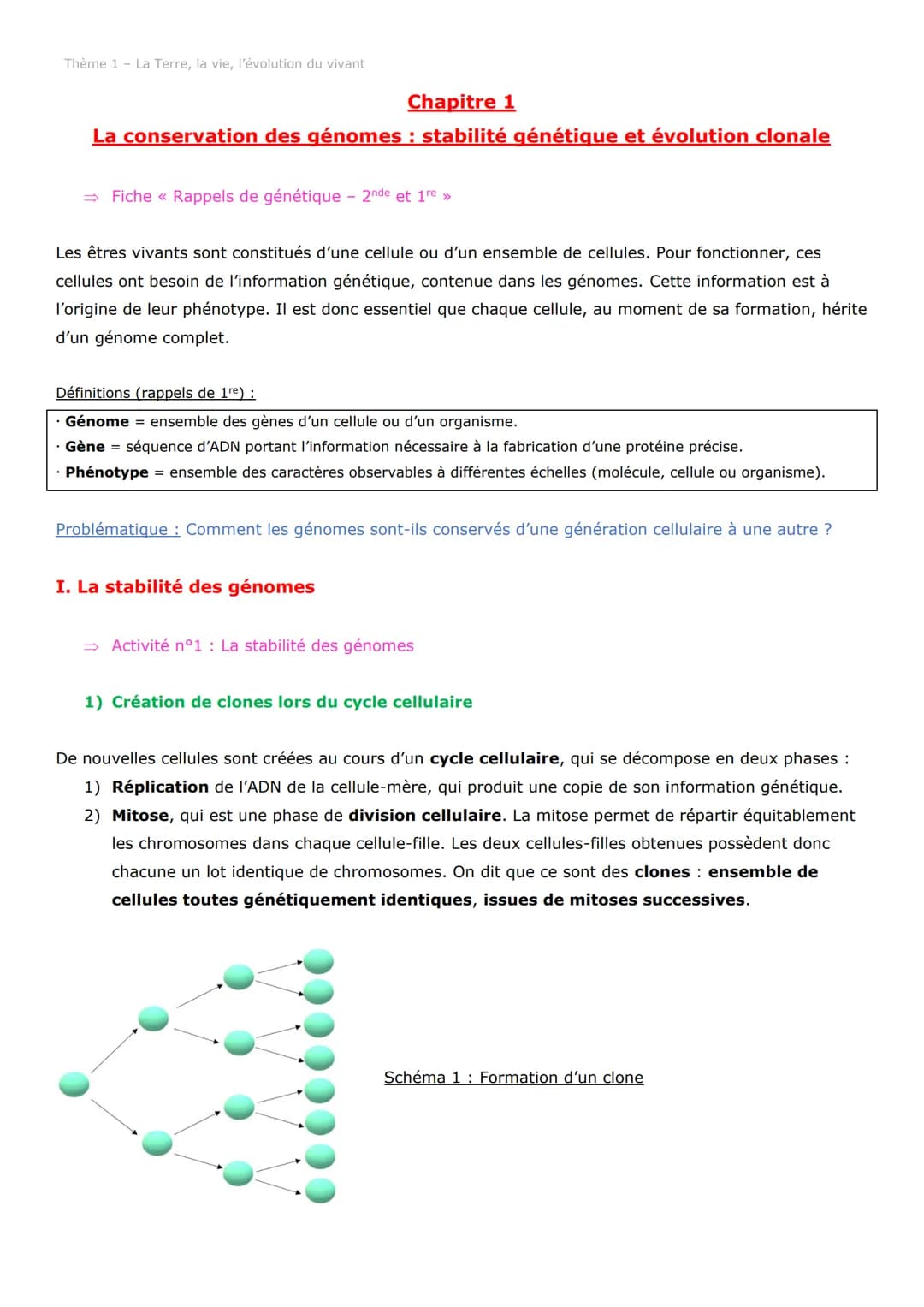 Thème 1 - La Terre, la vie, l'évolution du vivant
Chapitre 1
La conservation des génomes: stabilité génétique et évolution clonale
→ Fiche <