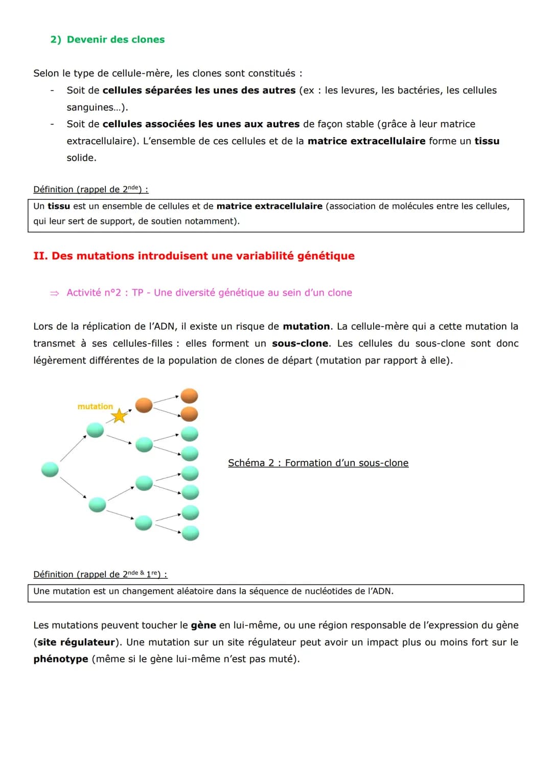 Thème 1 - La Terre, la vie, l'évolution du vivant
Chapitre 1
La conservation des génomes: stabilité génétique et évolution clonale
→ Fiche <