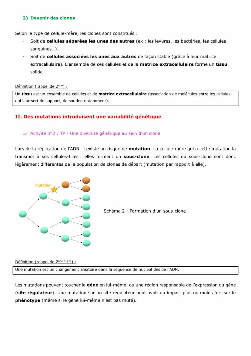 Thème 1 - La Terre, la vie, l'évolution du vivant
Chapitre 1
La conservation des génomes: stabilité génétique et évolution clonale
→ Fiche <