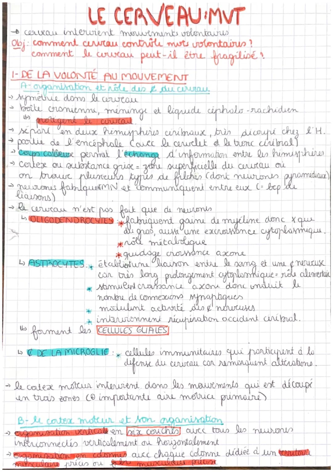 LE CERVEAU MVT
• cerveau intervient mouvements volontaires
Obj: comment cerveau contrôle mots volontaires ?
comment le cerveau peut-il être 