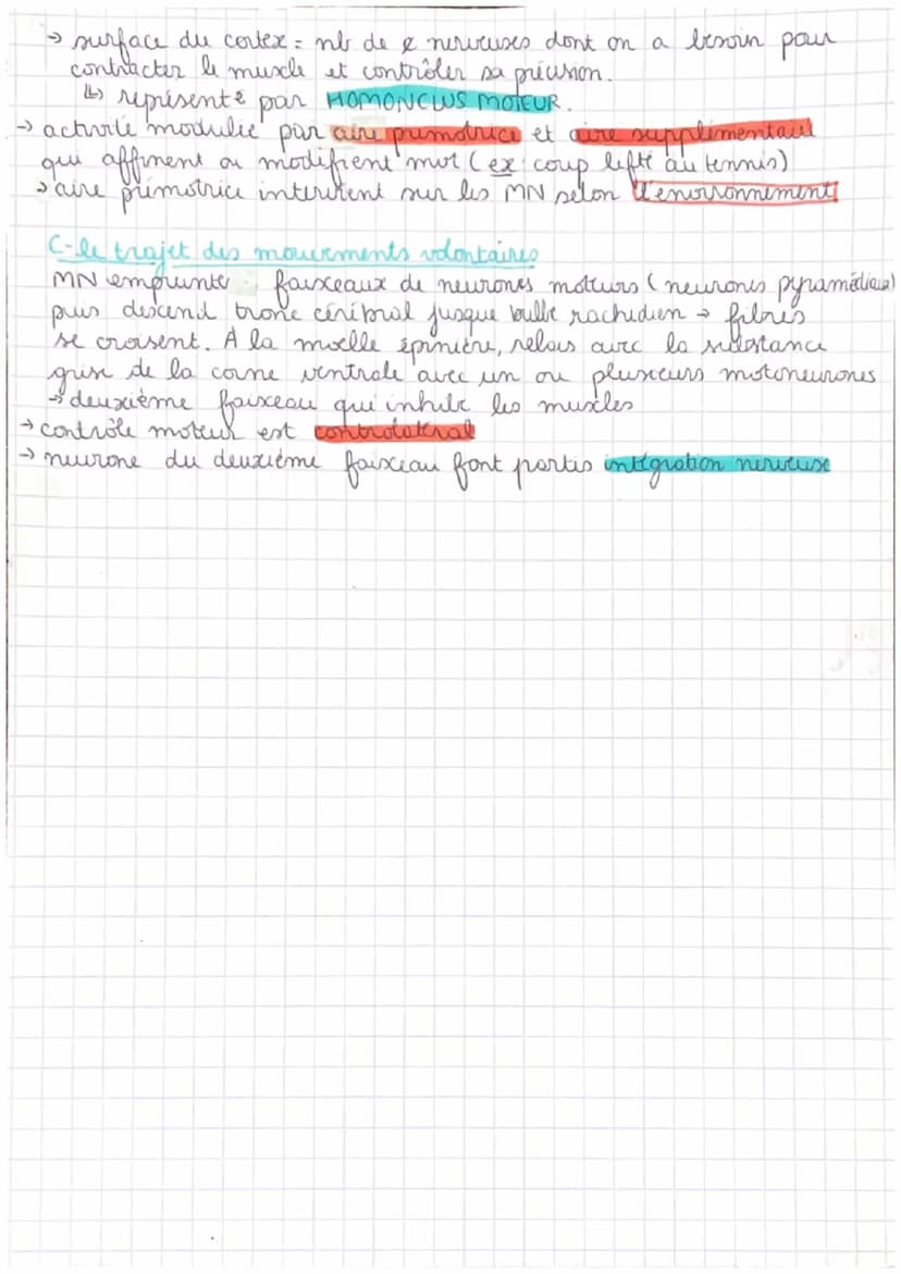 LE CERVEAU MVT
• cerveau intervient mouvements volontaires
Obj: comment cerveau contrôle mots volontaires ?
comment le cerveau peut-il être 