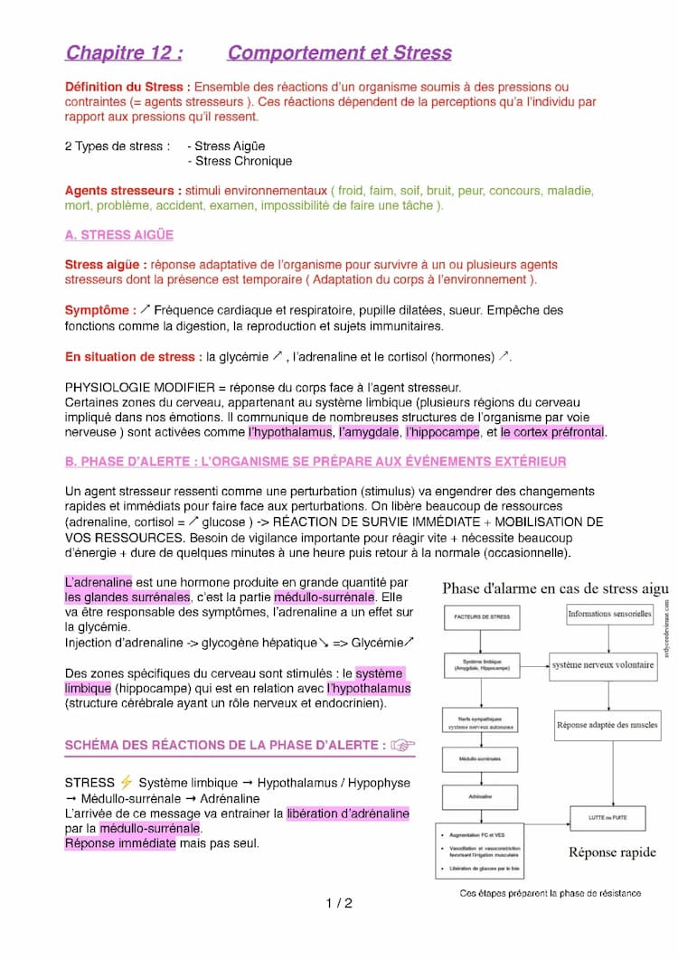 Know Chapitre 12 : comportement et stress thumbnail