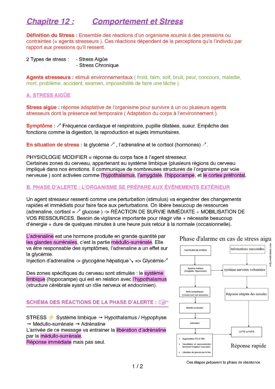 Comment arrêter le stress et l'angoisse : Schéma mécanisme du stress et effets sur le corps