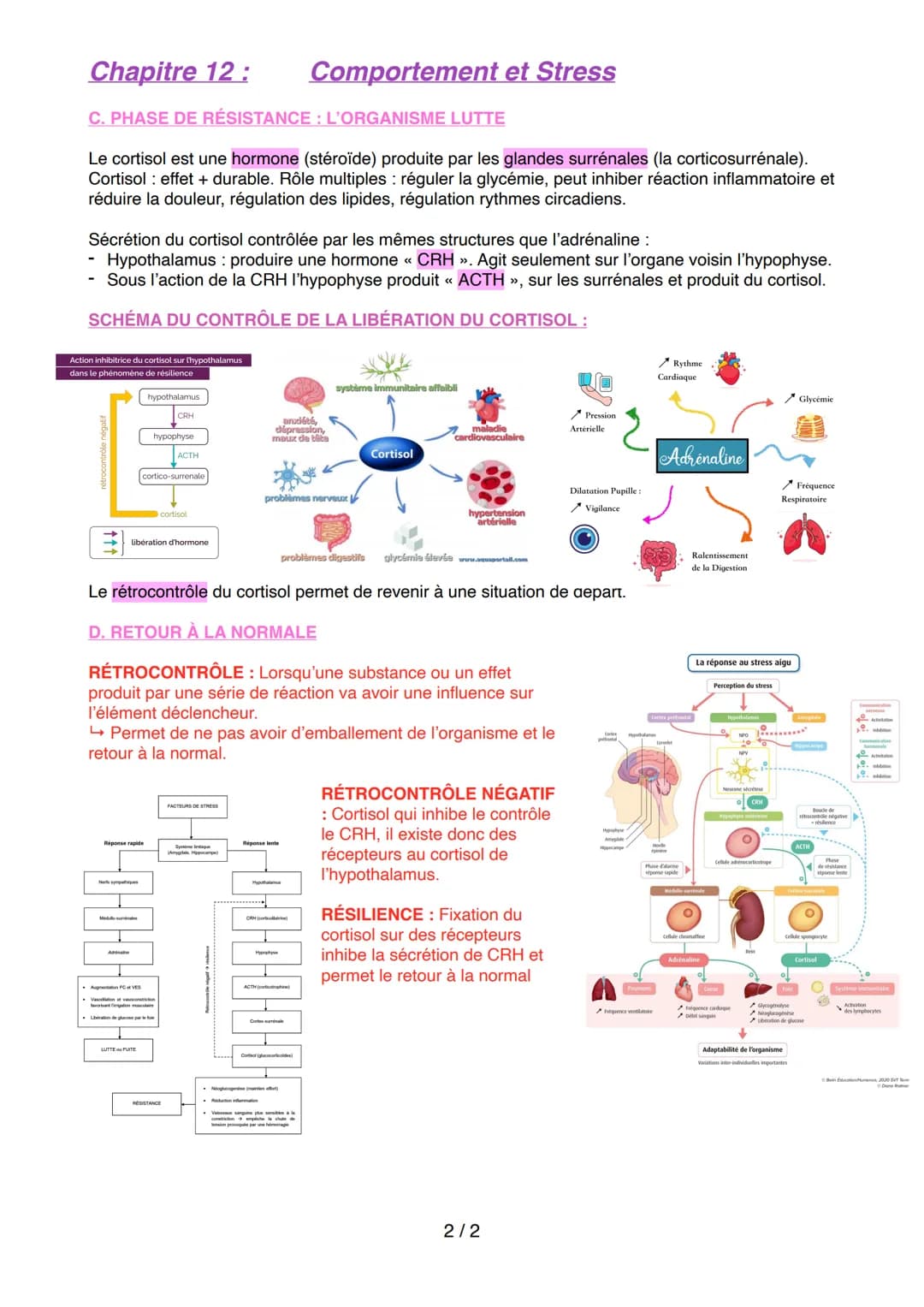 Chapitre 12:
Comportement et Stress
Définition du Stress : Ensemble des réactions d'un organisme soumis à des pressions ou
contraintes (= ag