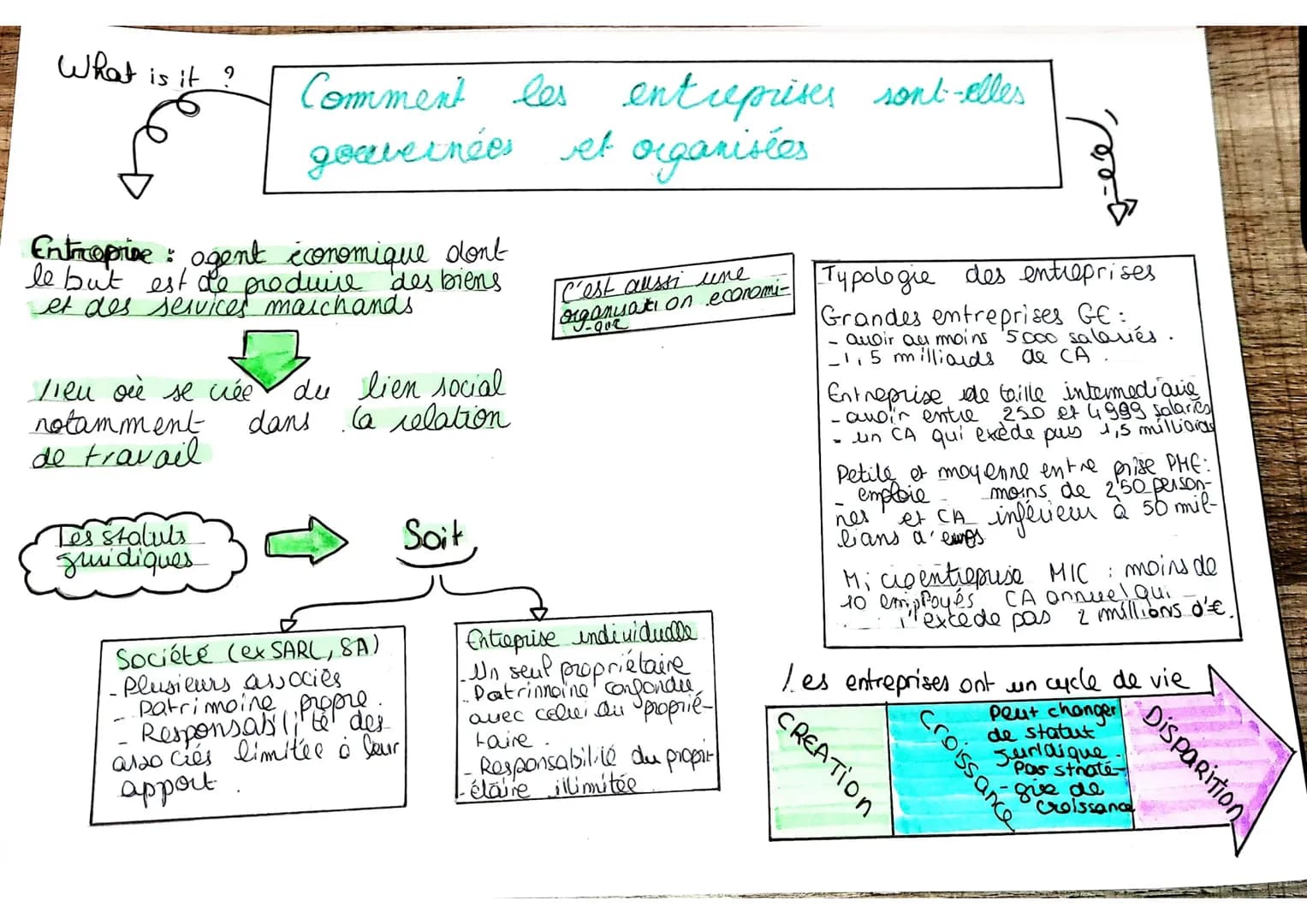 What is it?
fo
Entroprive ogent économique don't
le but est de produire des biens
et des services marchands
Comment les entreprises sont-ell