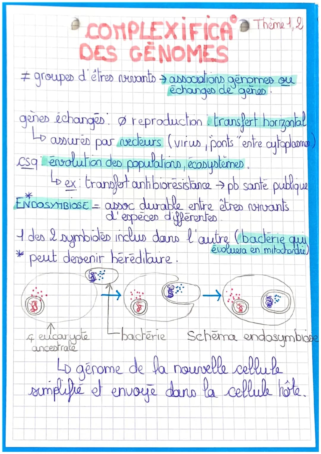 Transformation
bactere morte
TRANSFERTS
HORIZONTAUX
Conjugaison
Transduction virale
bacterie donneuse
0
liberation de
fragments d'ADU
bactér