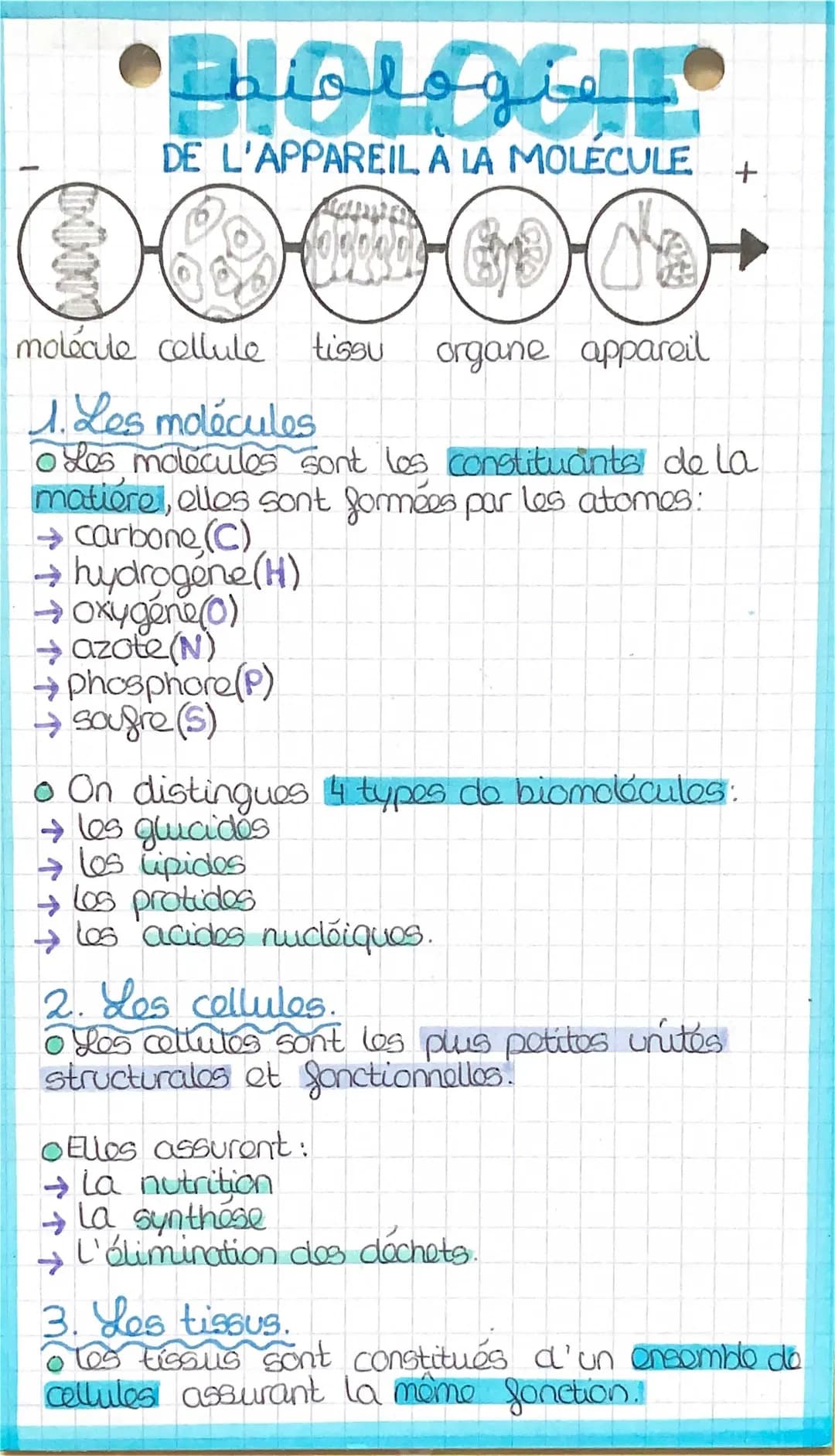 Tout sur La Cellule et Le Corps Humain: Les 4 Types de Cellules et 11 Systèmes Complet PDF