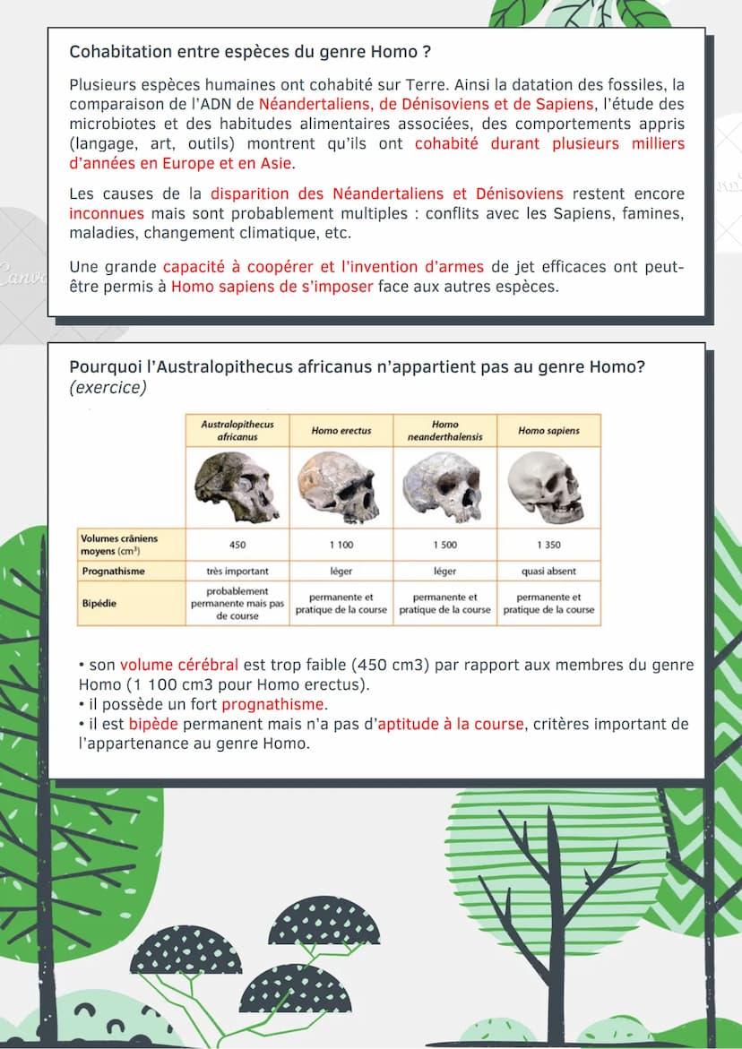 Cano
L'évolution
humaine
Les différents caractères ?
Caractère ancestral (primitif): Caractère commun pour un groupe d'espèce, n'a pas
subi 