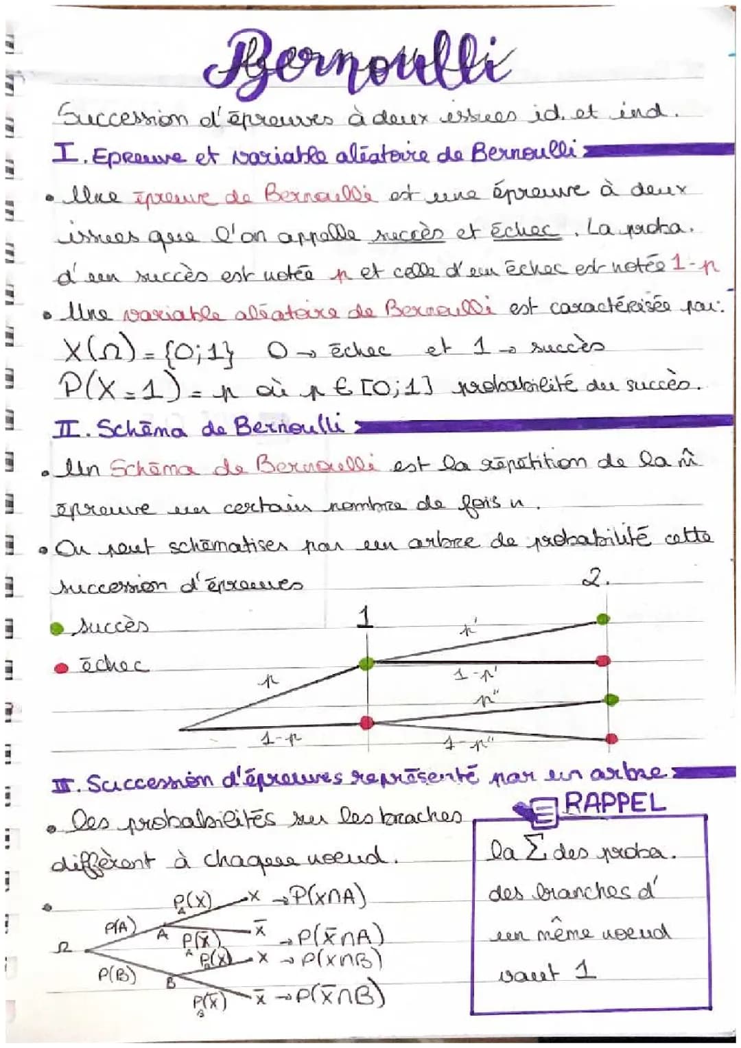 Découvre le Schéma de Bernoulli et la Loi Binomiale avec des Exercices Amusants