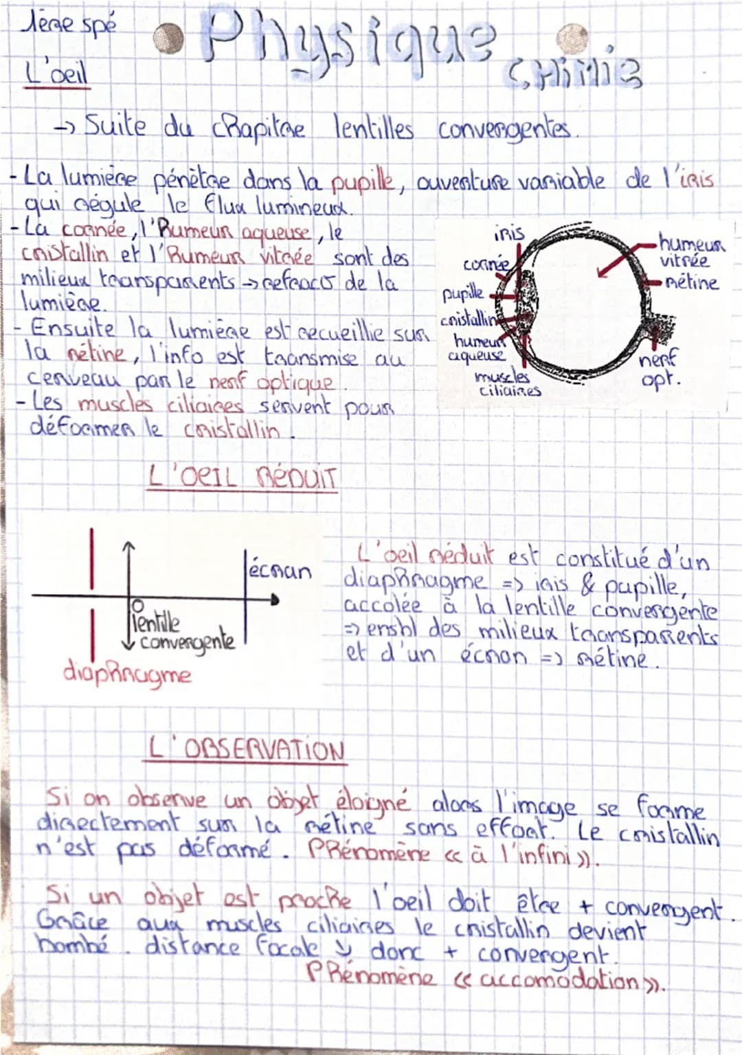 lène spé
• Physique chimie
lentilles convergentes
- Une lentille dévie la lumière → phénomène de réfracto.
→ Caractéristiques + propriétés..