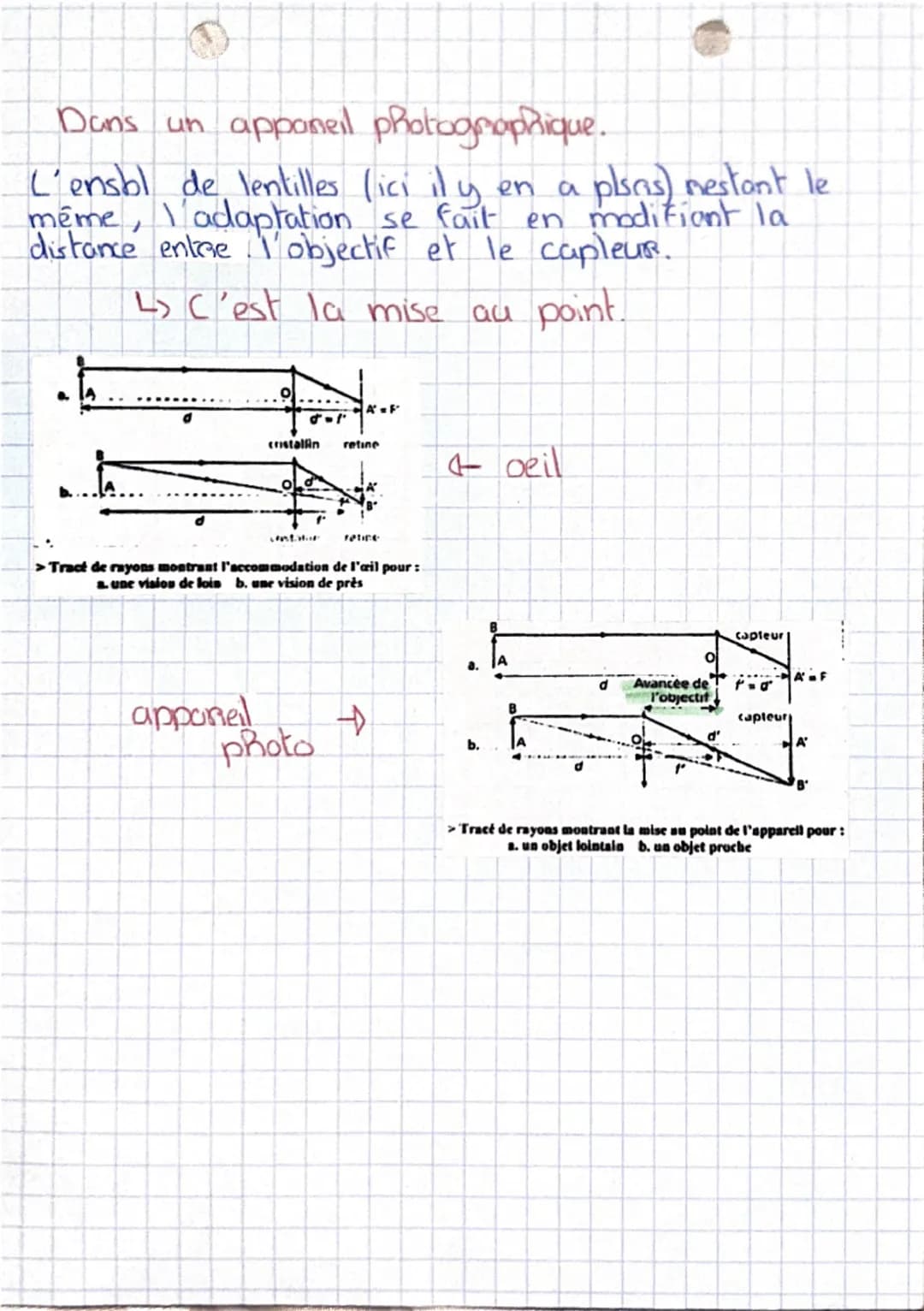 lène spé
• Physique chimie
lentilles convergentes
- Une lentille dévie la lumière → phénomène de réfracto.
→ Caractéristiques + propriétés..