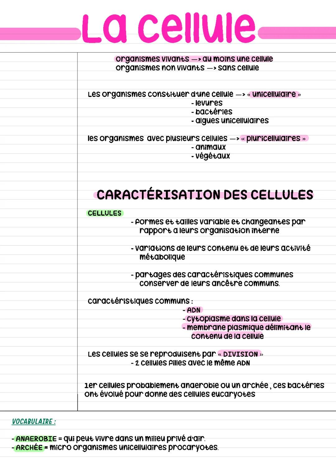 Tableau et Schéma : Différence entre Cellule Eucaryote et Procaryote PDF