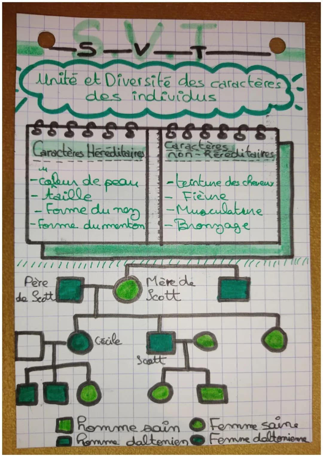 A
Unité et Diversité des caracteres
des individus
tere
S-V.
ssssss 666888.
Caractères Hereditaires
Caractères
non-Réréditaires
-colburde
-ta