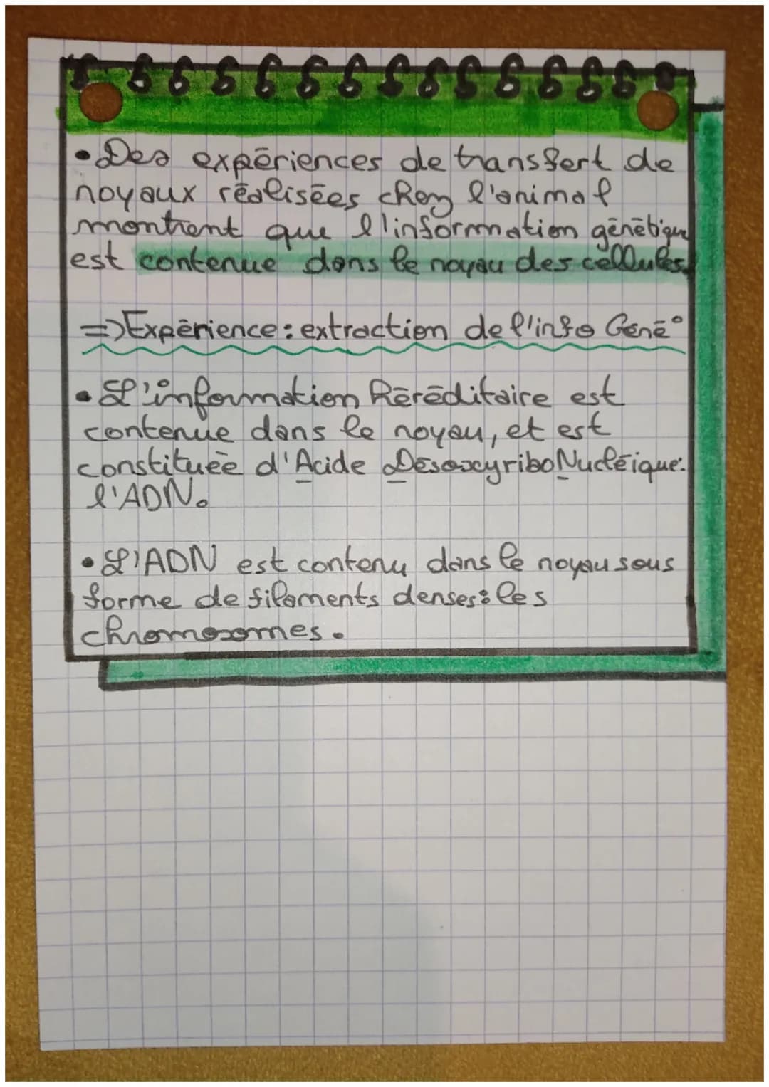 A
Unité et Diversité des caracteres
des individus
tere
S-V.
ssssss 666888.
Caractères Hereditaires
Caractères
non-Réréditaires
-colburde
-ta