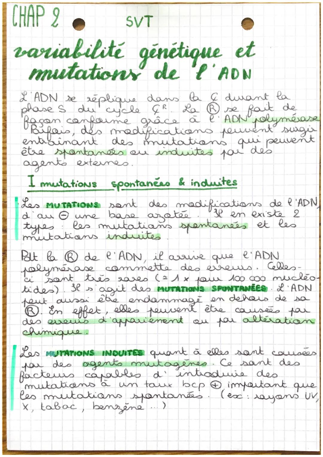 CHAP 2
SVT
variabilité génétique et
mutations de l'ADN
L'ADN se réplique que dans la & durant la
phase s du cycle CR. La se fait de
façon ca