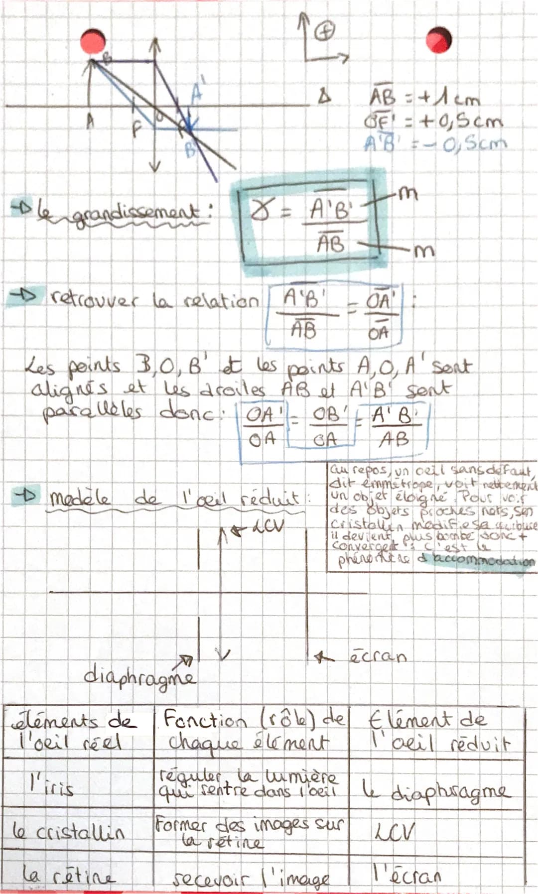 •PHYSIQUE •
tilles et modèles de l'oeil
def LD are optique : noté 4, c'est l'axe de
symétrie de la lentille
Dientre optique: noté 0, c'est l