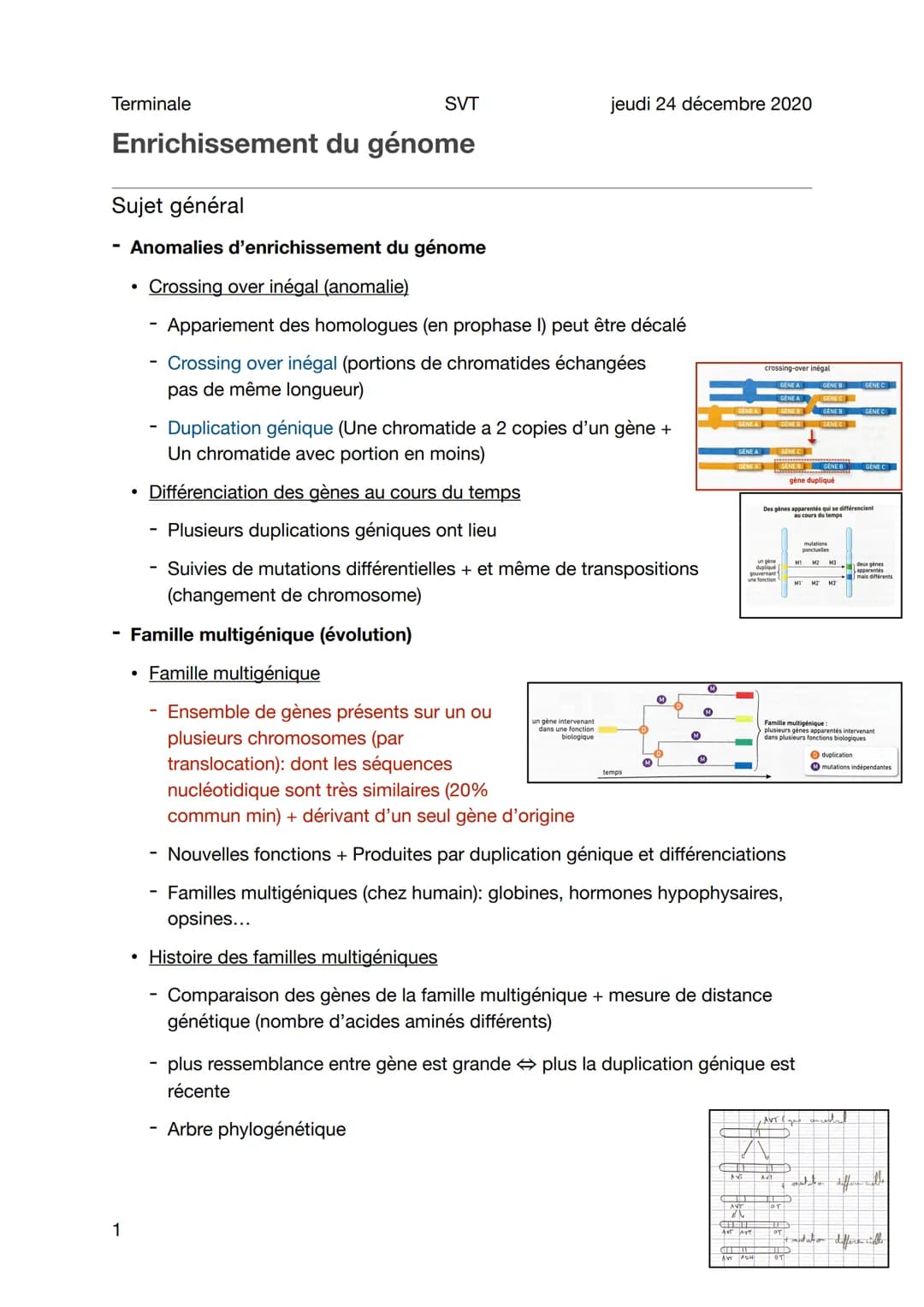 Terminale
1
Enrichissement du génome
Sujet général
Anomalies d'enrichissement du génome
Crossing over inégal (anomalie)
Appariement des homo