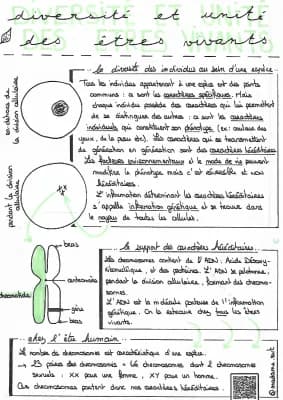 Know Fiche SVT sur le programme génétique thumbnail