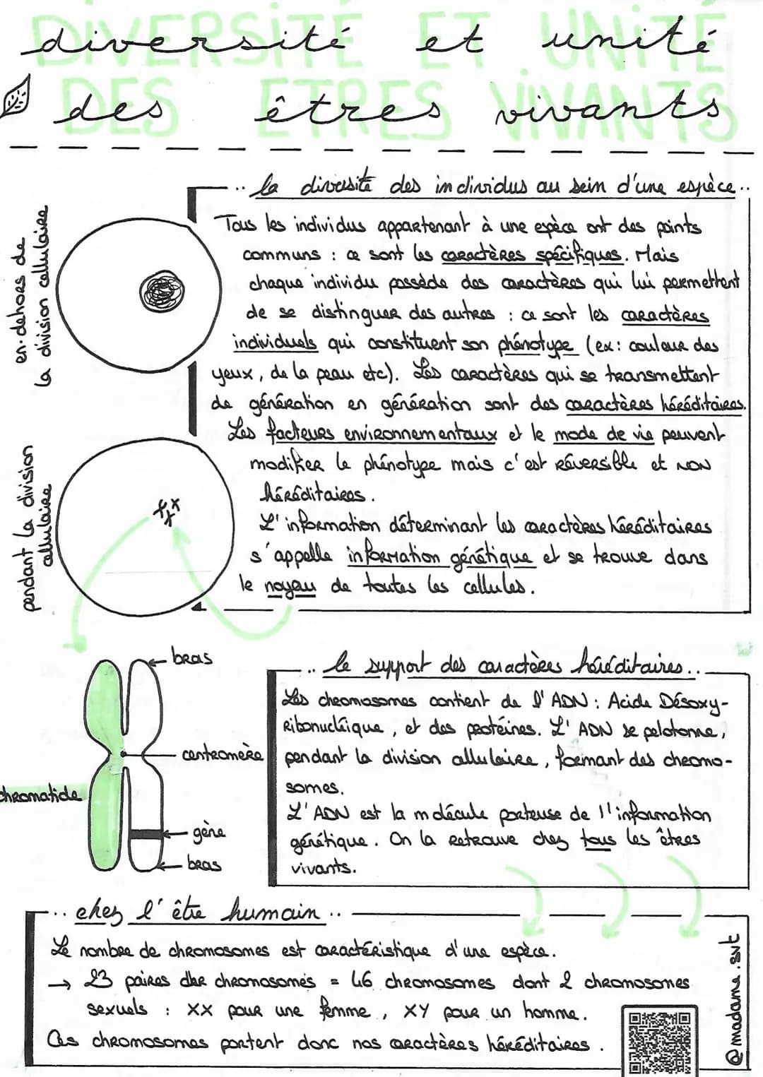 diversité
معاد لنا
en-dehors de
la division cellulaire
pendant la division
cellulaire
des
chromatice,
et unité
êtres vivants
la diversite de