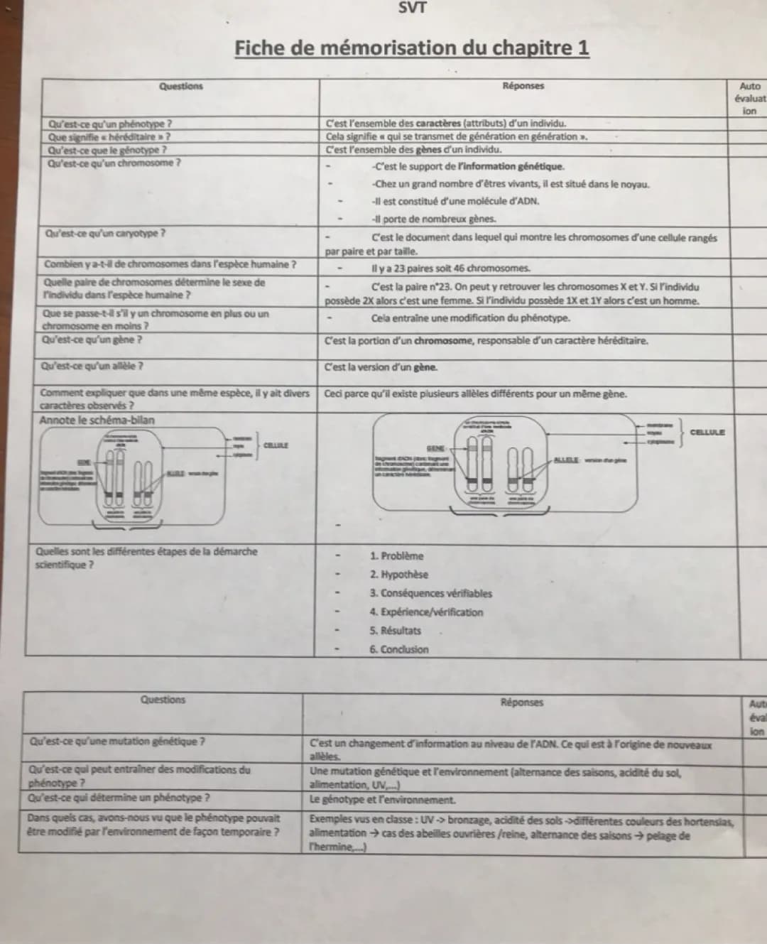 Fiche de Révision en SVT : Génétique et Allèles