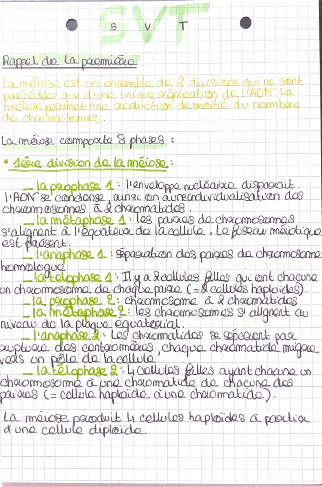 SVT
Rappel de la paemicia
La méiose est un ensemble do. 2 divisions qui ne sont
paocadãos que d'one uriaus rõdication de l'ADIM. La
moiose p
