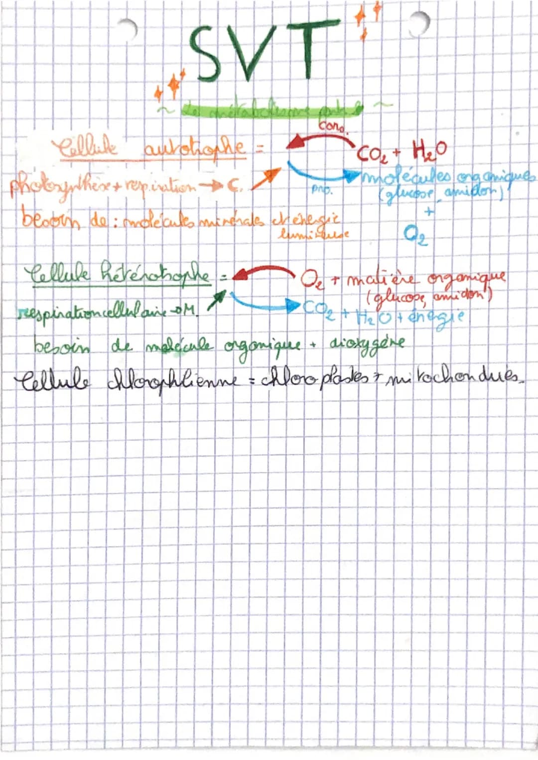SVT
Metabolisme : Ensemble des réations chimiques qui se
lui permettent de
,
déroulent dans une cellule et
fonctionner..
qui
Métabolisme aut