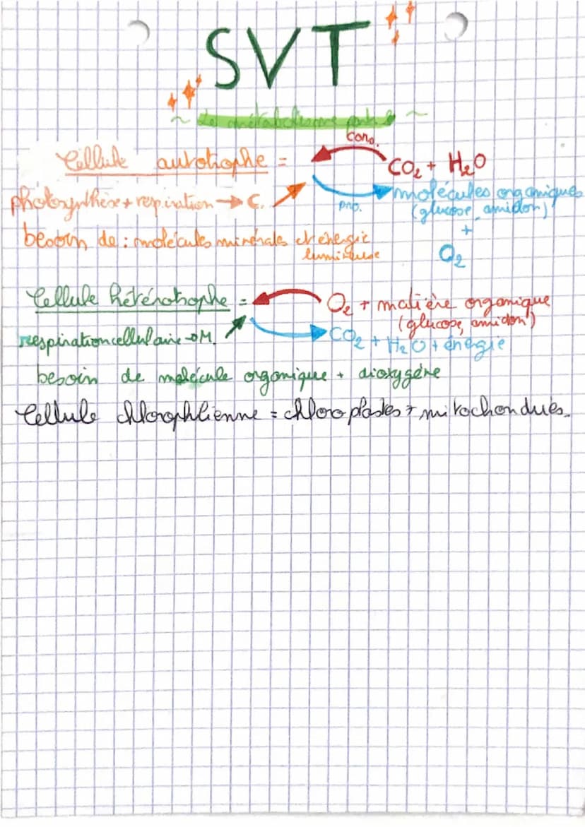 SVT
Metabolisme : Ensemble des réations chimiques qui se
lui permettent de
,
déroulent dans une cellule et
fonctionner..
qui
Métabolisme aut