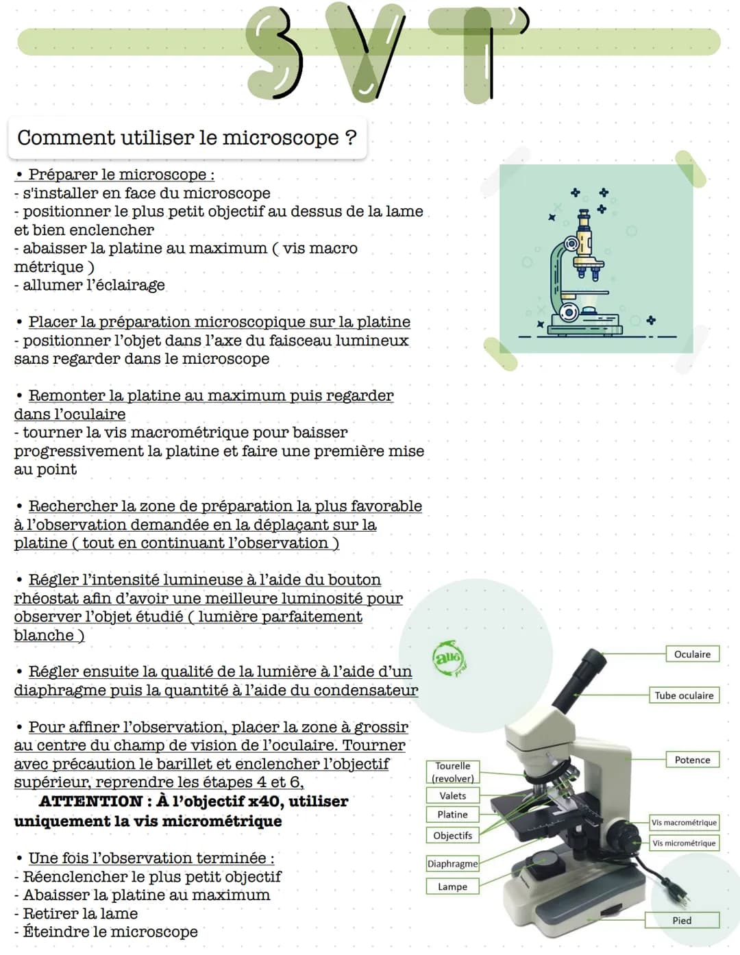Comment utiliser le microscope ?
Préparer le microscope :
- s'installer en face du microscope
●
ЗУТ
positionner le plus petit objectif au de