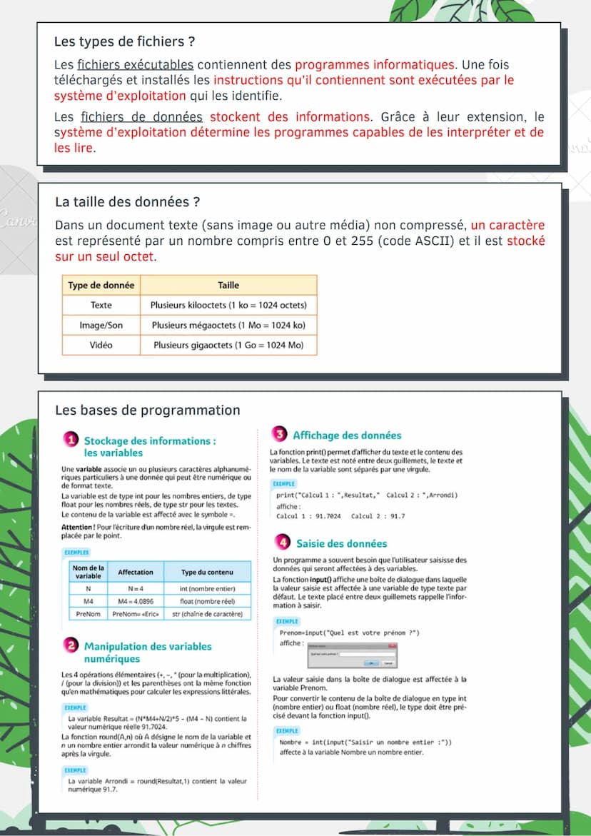 Cany
L'intelligence
artificielle
La machine de Turing ?
C'est la machine la plus élémentaire possible destinée à mettre en œuvre des
mécanis