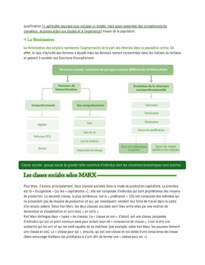 # Chapitre 1:
Comment la société française est-elle structurée ?
La société française est traversée par de multiples inégalités, qui dessine