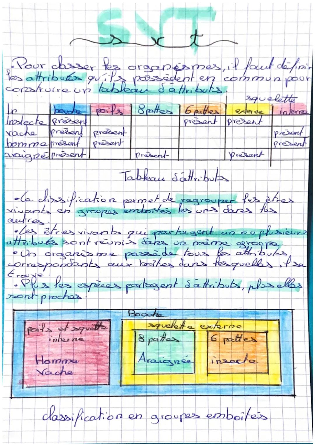 •Pour classer fes organismes, il faut definin
los attributes qu'ils possidente en commun pour
construire un tableau Sattributs.

| In       
