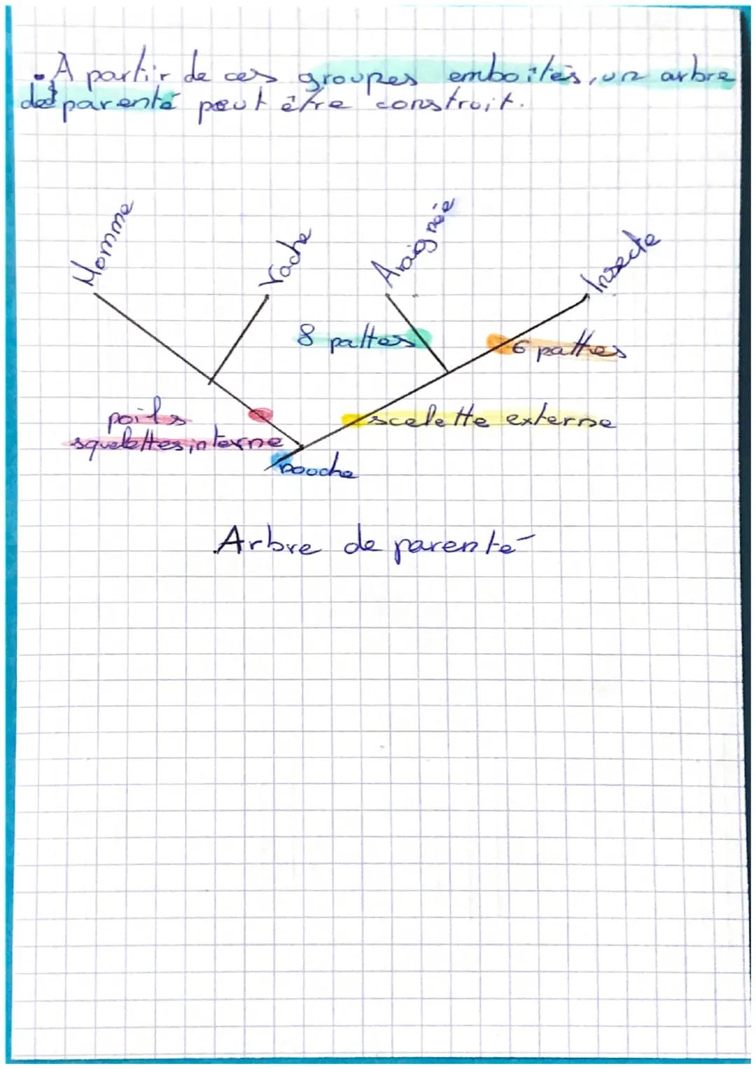 •Pour classer fes organismes, il faut definin
los attributes qu'ils possidente en commun pour
construire un tableau Sattributs.

| In       