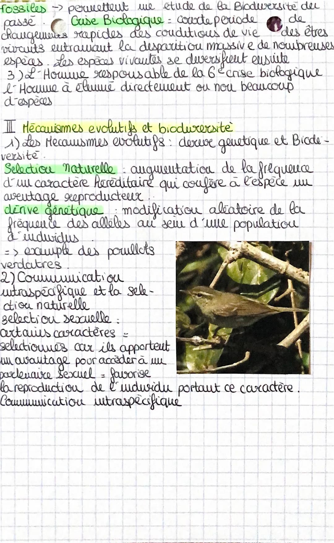 Chap 2
t
I Les echelles de la biodiversité
1) La Biodiversité s'observe à 8 niveaux
Biodiversite: multitude d'êtres vivants sur la Terre et
