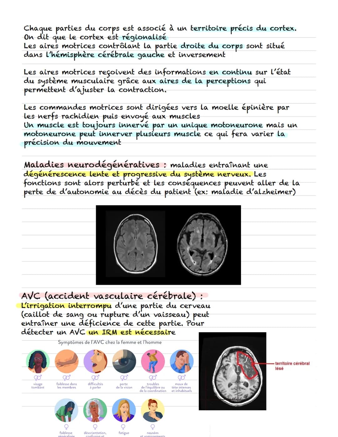 Chapitre
I- cerveau et organisation anatomique :
Le système nerveux central est constitué du cerveau et de
la moelle épinière
Le système ner