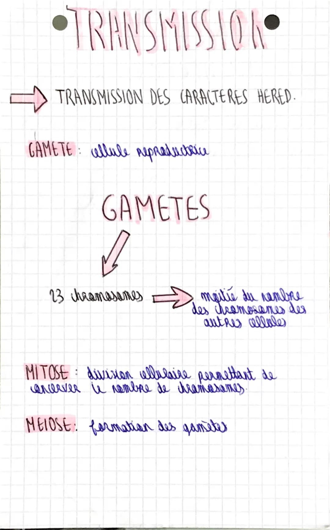 CHAPITREEL
Щ gamelu numain s1= Шили черна)
13 chramasames - и maitie
la
du патете des chasmasames des
autres cellules
MITOSE: divation vellu