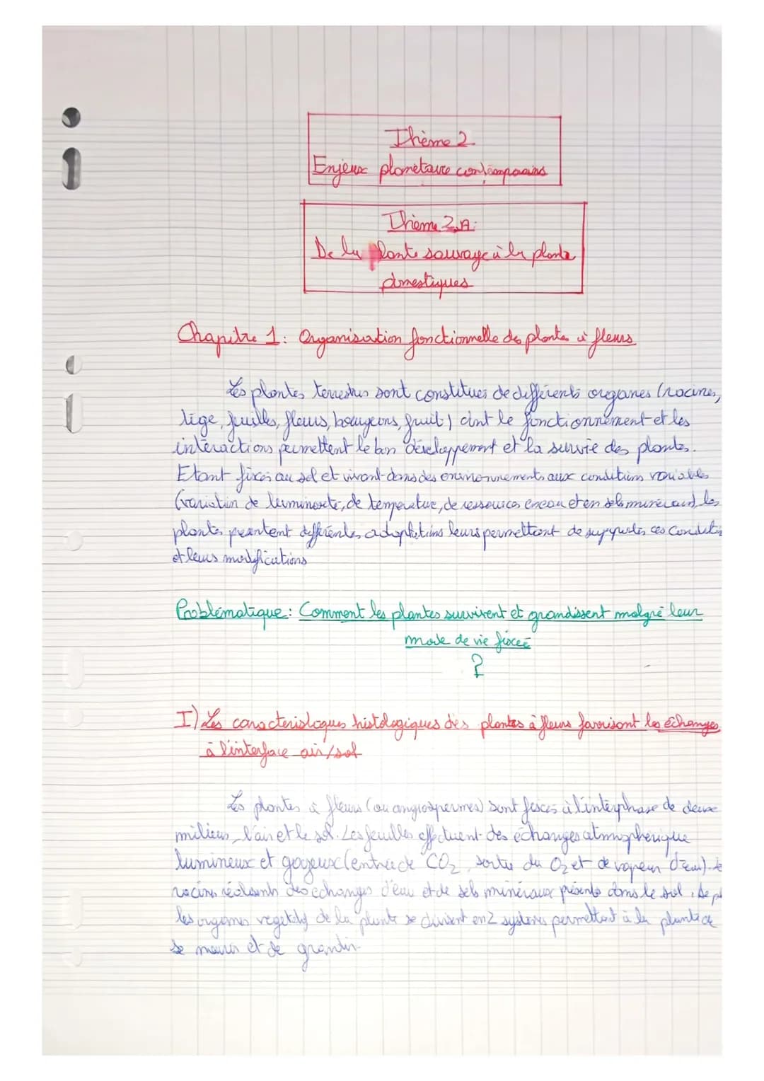 Thème 2A: De la plante sauvage à la plante domestiquée
C7: L'organisation fonctionnelle des plantes à fleurs
La plante présente une grande s