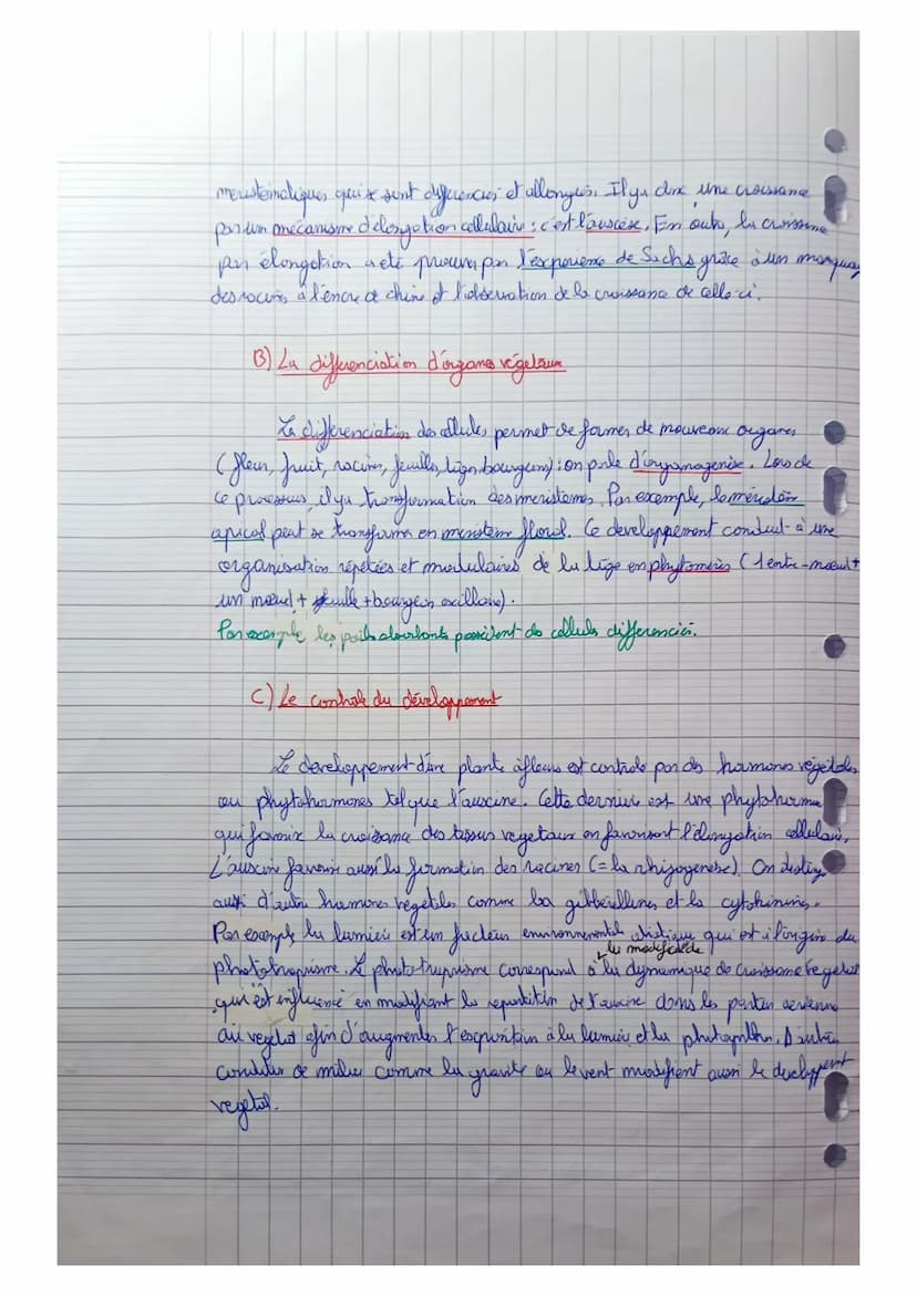 Thème 2A: De la plante sauvage à la plante domestiquée
C7: L'organisation fonctionnelle des plantes à fleurs
La plante présente une grande s