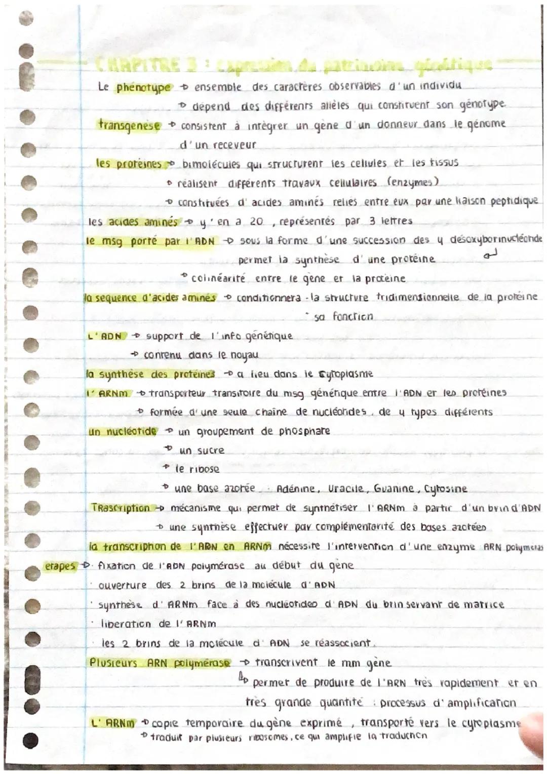 CHAPITRE 3: Capremin du patrimoine_gizatique
Le phénotype ensemble des caractères observables d'un individu
transgenese
dépend des différent