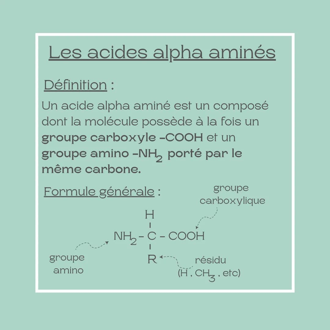 Fiche méthode
Les acides alpha
aminés
Niveau: TST2S Les acides alpha aminés
Définition:
Un acide alpha aminé est un composé
dont la molécule