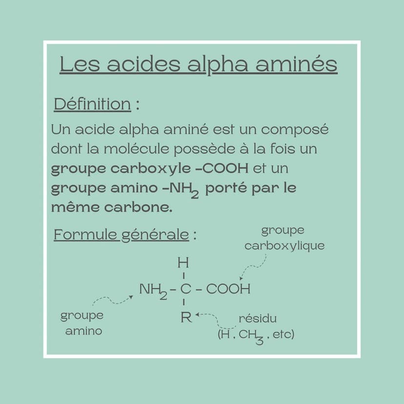 Fiche méthode
Les acides alpha
aminés
Niveau: TST2S Les acides alpha aminés
Définition:
Un acide alpha aminé est un composé
dont la molécule