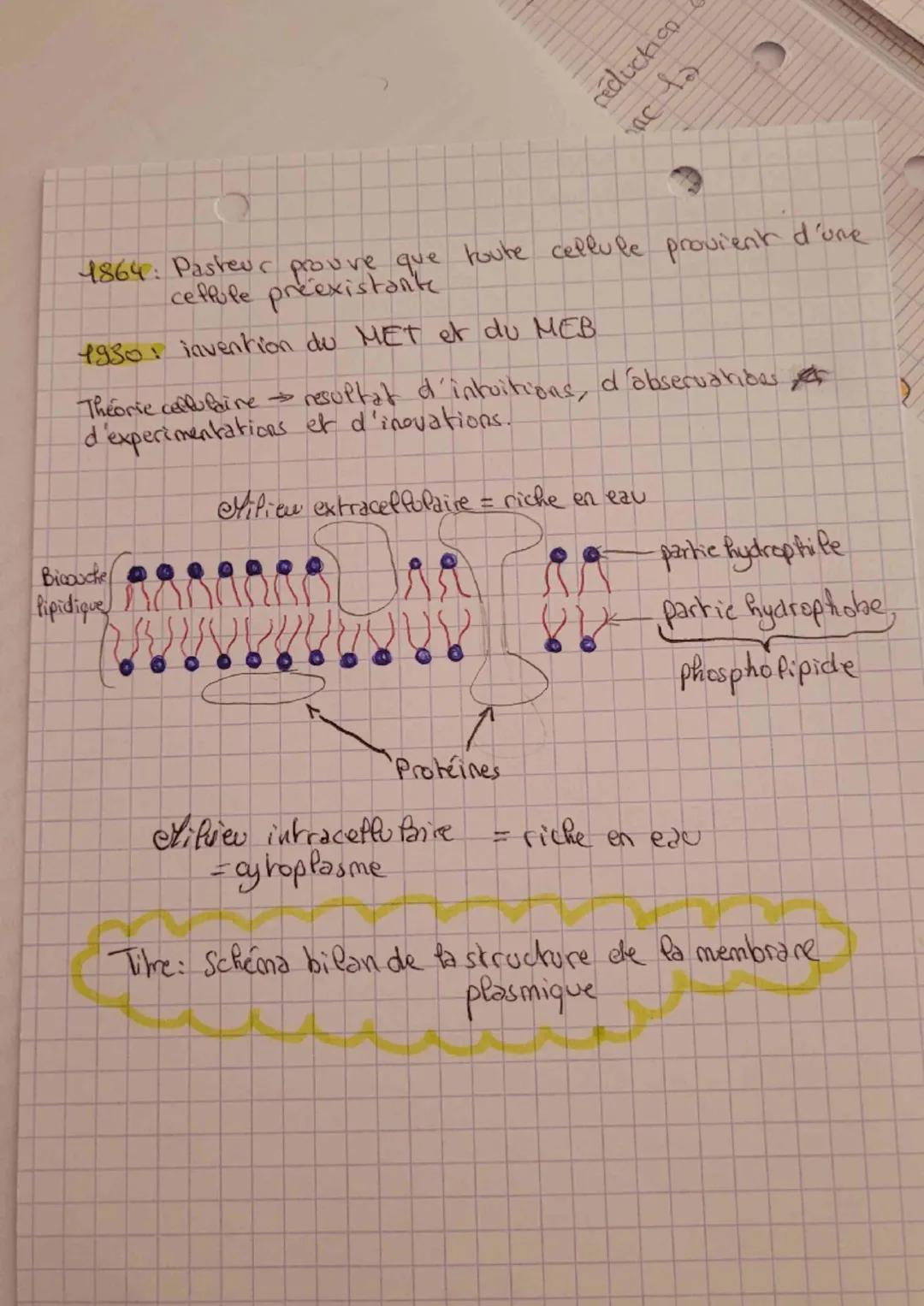 ENSEIGNEMENT SCIENTIFIQUE SVT
Introduction
Les 3 principes de fa théorie ceffofaire
• tout organisme vivant est con-
stitué d'une ou
plusieu