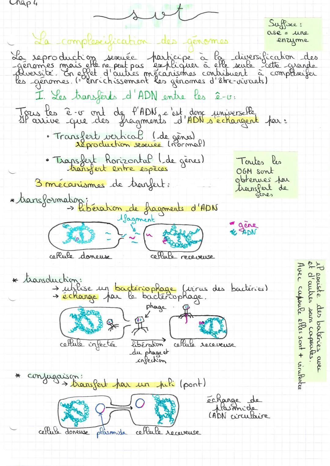Chap 4,
La complessification des génomes
a
La reproduch sexuée participe à la diversification des
diversité. En effet d'autres mécanismes co