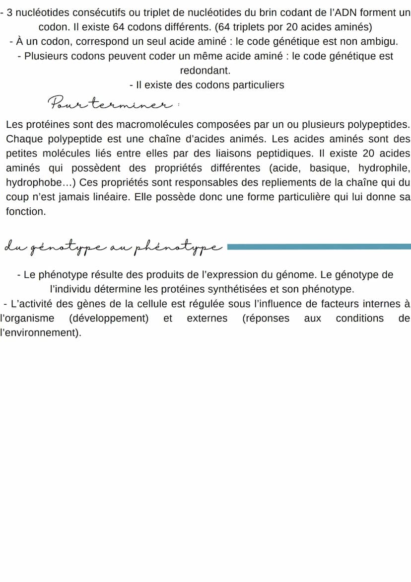 L'EXPRESSION du patrimoine Génétique
Introduction
Dans la cellule eucaryotes, la molécule d'ADN reste dans le noyau or les
protéines sont sy